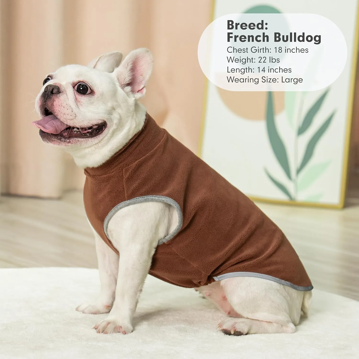 cyeollo 2XL Dog Sweater for Large Dogs Male Female, Reflective Dog Sweatshirt Pullover Dog Jacket Fall Winter Dog Sweaters Warm Dog Clothes, Brown & Khaki XXL