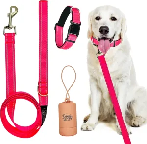 Dog Leash, Collar and Poop Bag Dispenser Set - High Reflective Durable Double Layer 5ft Leash for Small, Medium, Large Dogs - Soft Padded for Walking All Breeds Dogs (Pink, Small)
