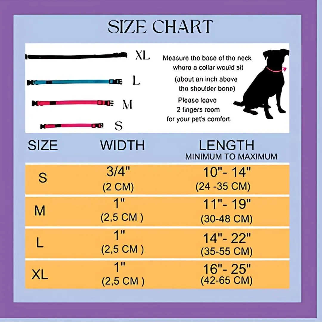 Dog Leash, Collar and Poop Bag Dispenser Set - High Reflective Durable Double Layer 5ft Leash for Small, Medium, Large Dogs - Soft Padded for Walking All Breeds Dogs (Pink, Small)