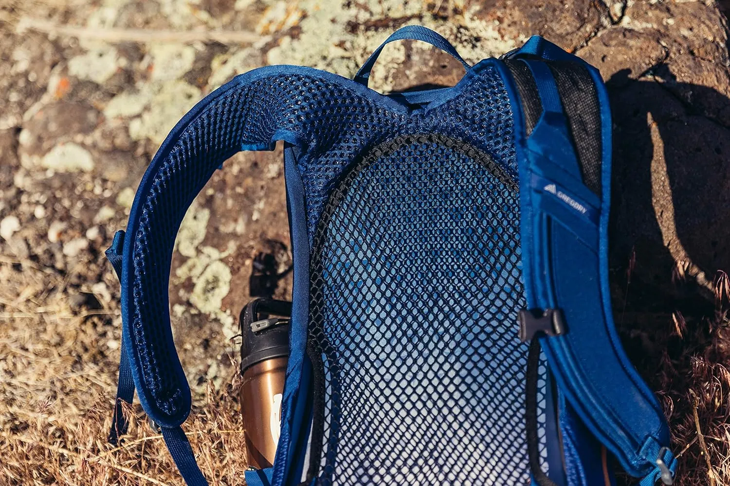 Gregory Arrio 22L Unisex Day Hiking Backpack with Ventilated Backpanel and Built-in Hydration Attachment (Reservoir Not Included), One Size Fits All, Empire Blue