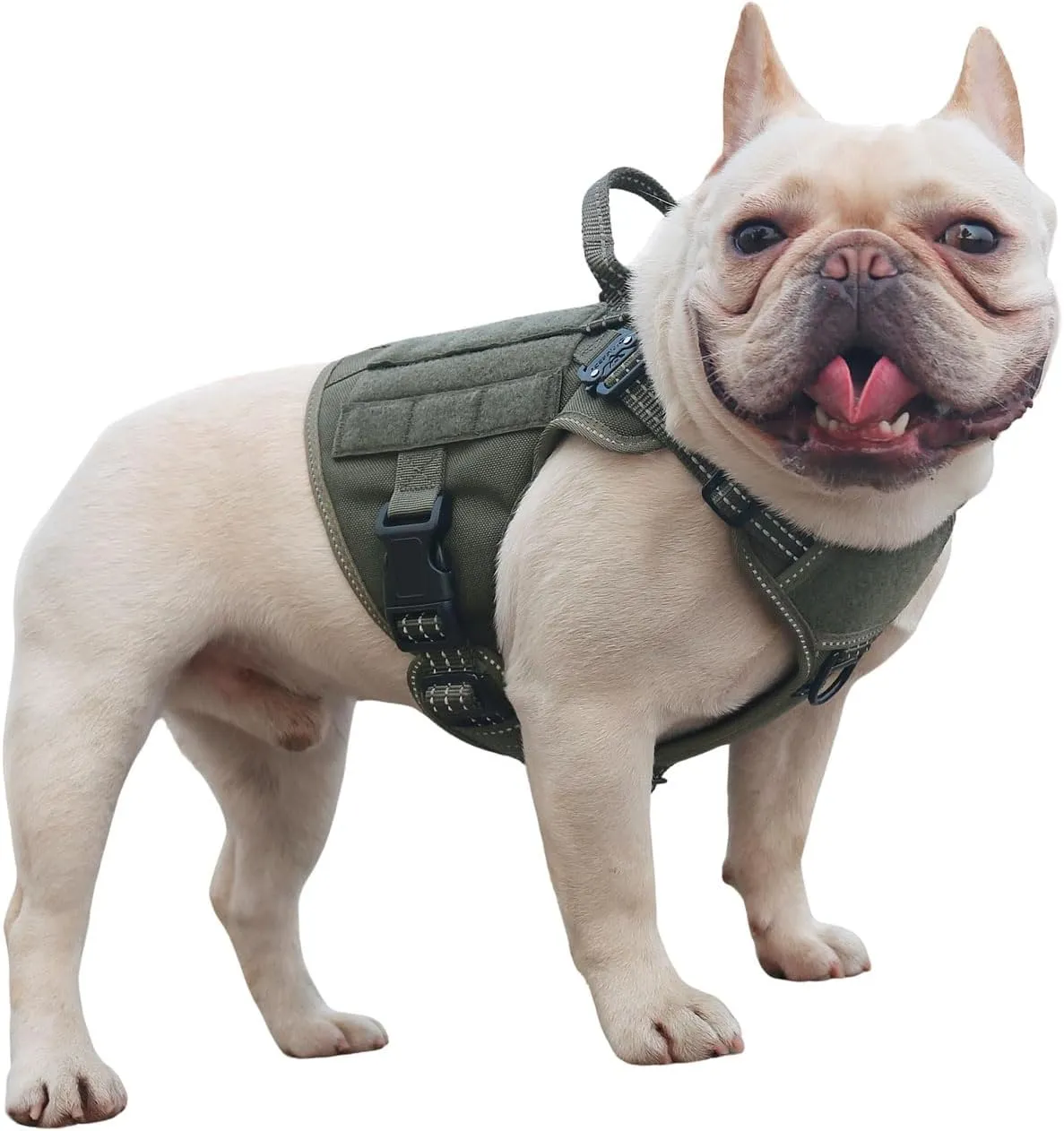 ICEFANG GN1 Reflective Tactical Dog Harness Small Sized, MOLLE K9 Dog Vest with 2X Metal Buckles,Adjustable Pet Harness, No Pulling Front Leash Clip (Small (Pack of 1), Green)
