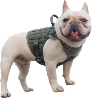 ICEFANG GN1 Reflective Tactical Dog Harness Small Sized, MOLLE K9 Dog Vest with 2X Metal Buckles,Adjustable Pet Harness, No Pulling Front Leash Clip (Small (Pack of 1), Green)