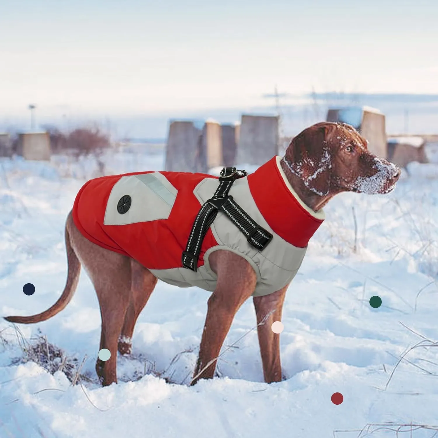 IECOii Winter Waterproof Dog Coats - Zip Up Fleece Jacket for Dogs, Red, XLarge