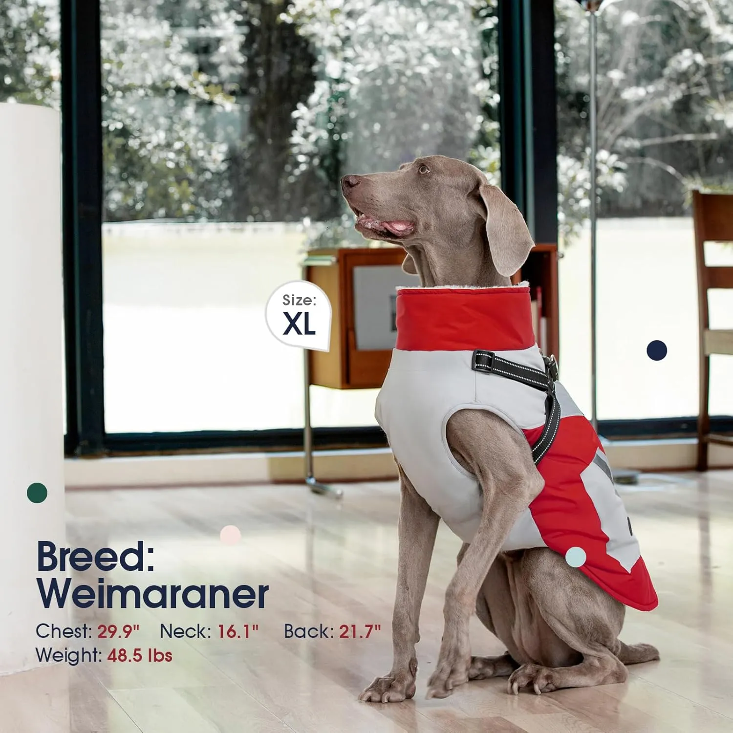 IECOii Winter Waterproof Dog Coats - Zip Up Fleece Jacket for Dogs, Red, XLarge