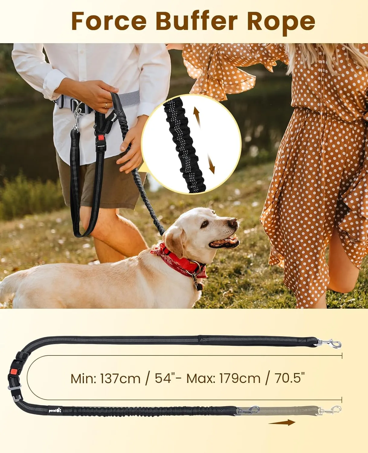 Pecute Hands Free Dog Leash with Pouch, Waist Belt Fanny Pack with Soft Padds, Dual Padded Handles and Durable Bungee for Walking, Hiking, Jogging Biking, and Running (Up to 220lbs)