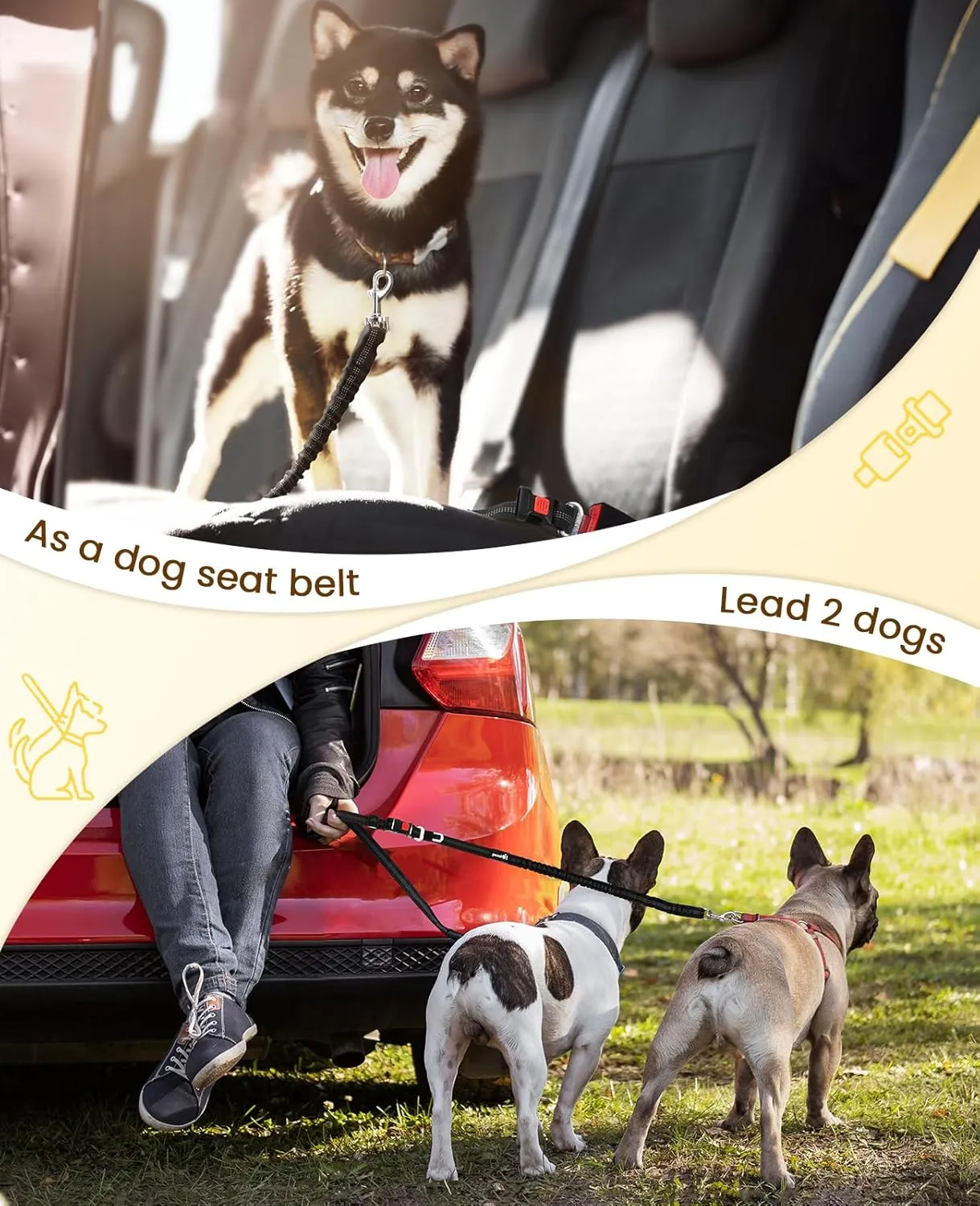 Pecute Hands Free Dog Leash with Pouch, Waist Belt Fanny Pack with Soft Padds, Dual Padded Handles and Durable Bungee for Walking, Hiking, Jogging Biking, and Running (Up to 220lbs)