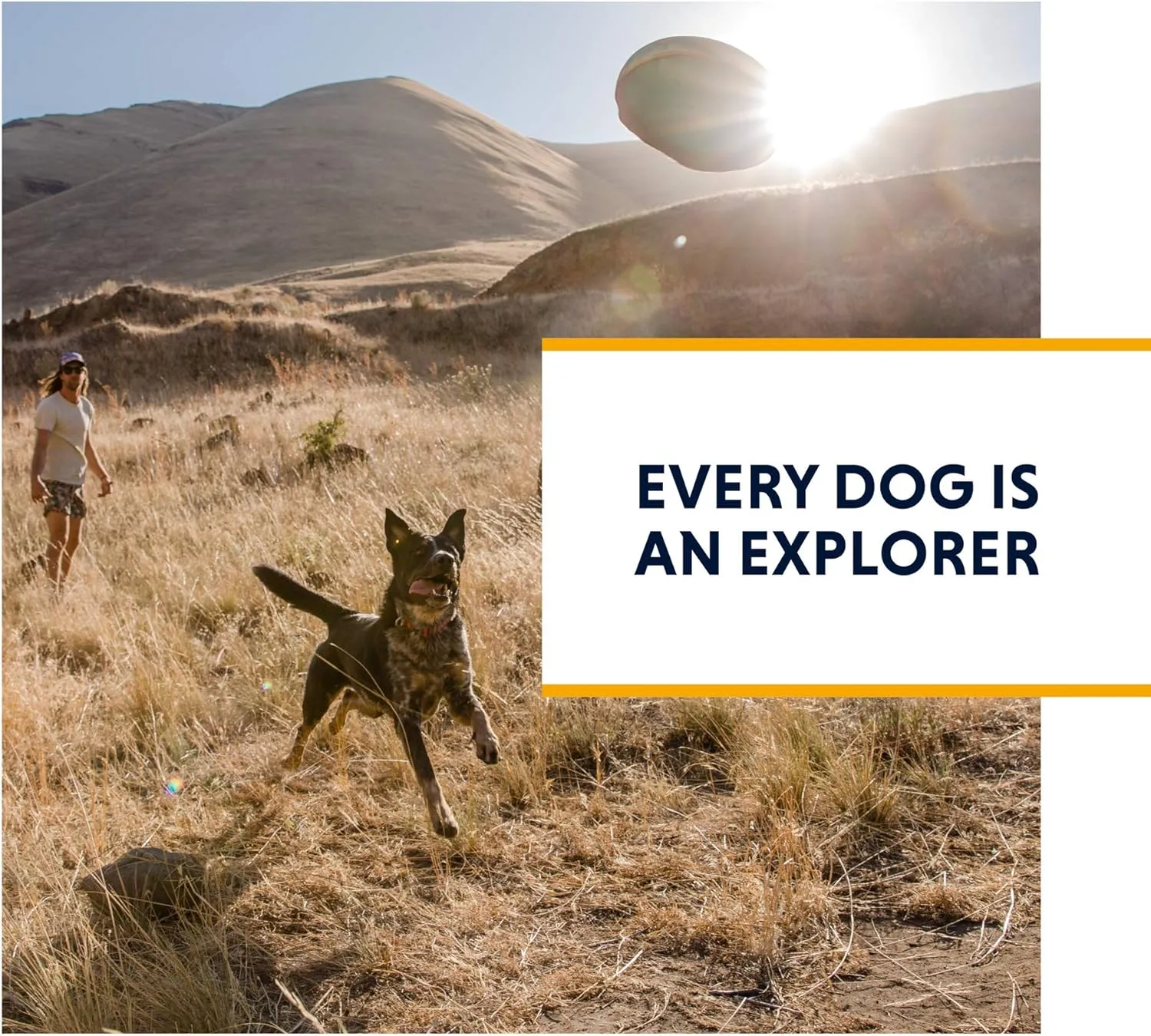 Ruffwear, Switchbak Dog Harness, Pack & Harness Hybrid for Day Trips & Everyday Use, Blue Moon, Small