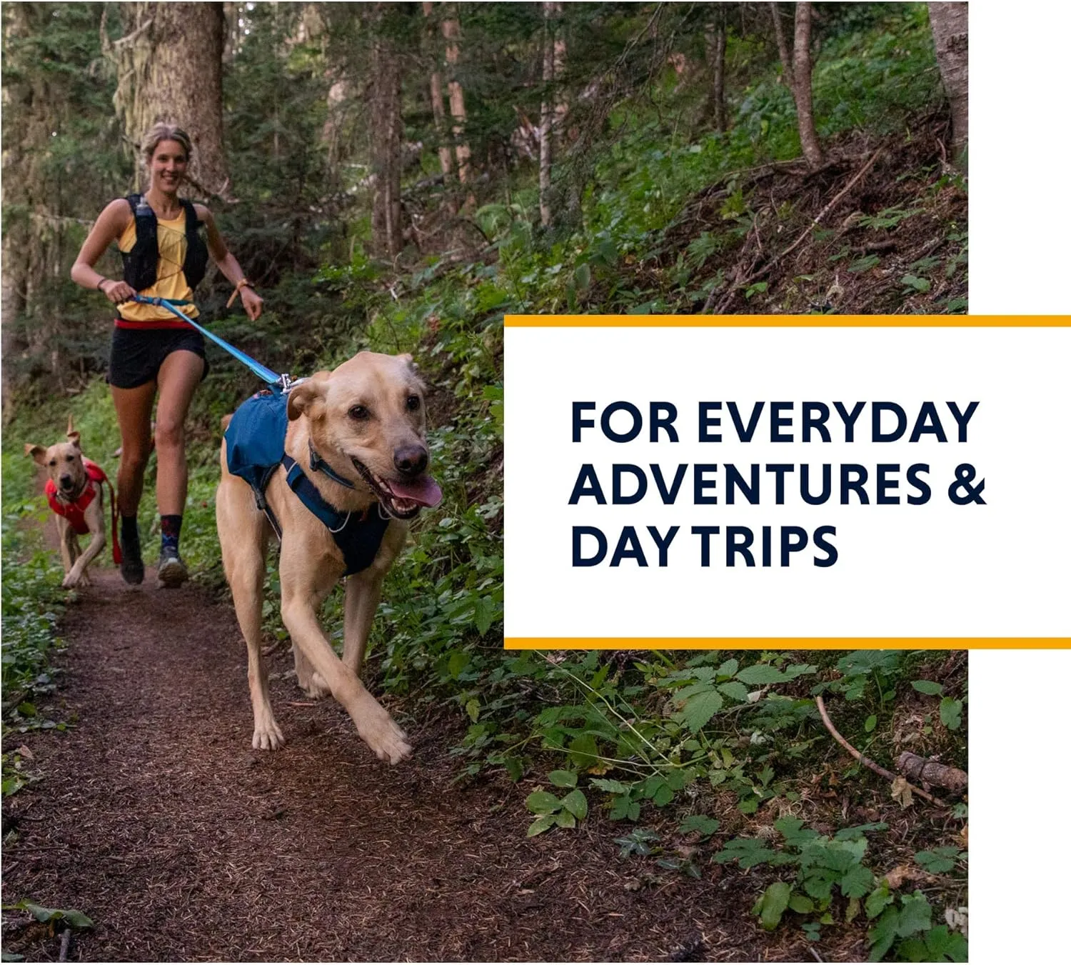 Ruffwear, Switchbak Dog Harness, Pack & Harness Hybrid for Day Trips & Everyday Use, Blue Moon, Small